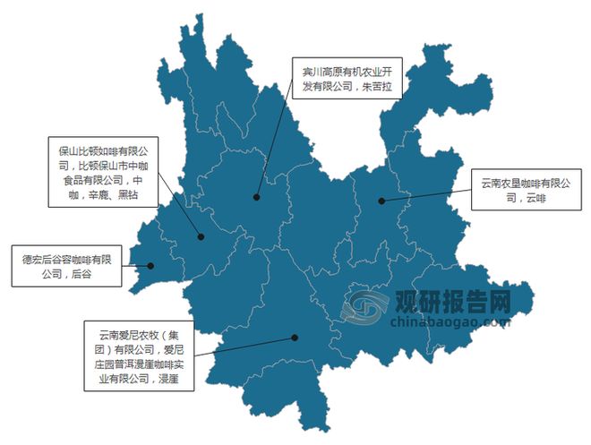 究与投资趋势分析报告（2025-2032年）CQ9电子登录注册中国咖啡豆行业现状深度研(图5)