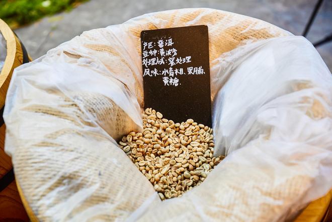 体验咖啡文化深入了解背后的文化故事CQ9电子有限公司普洱北归咖啡庄园(图2) 体验咖啡文化深入了解背后的文化故事CQ9电子有限公司普洱北归咖啡庄园(图2)